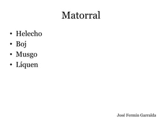 Matorral
• Helecho
• Boj
• Musgo
• Líquen
José Fermín Garralda
 