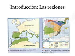 Introducción: Las regiones
 