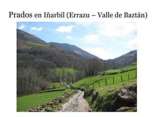 Prados en Iñarbil (Errazu – Valle de Baztán)
 