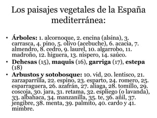 Los paisajes vegetales de la España
mediterránea:
• Árboles: 1. alcornoque, 2. encina (alsina), 3.
carrasca, 4. pino, 5. olivo (acebuche), 6. acacia, 7.
almendro, 8. cedro, 9. laurel, 10. algarrobo, 11.
madroño, 12. higuera, 13. níspero, 14. saúco.
• Dehesas (15), maquis (16), garriga (17), estepa
(18)
• Arbustos y sotobosque: 10. vid, 20. lentisco, 21.
zarzaparrilla, 22. espino, 23. esparto, 24. romero, 25.
esparraguera, 26. azafrán, 27. aliaga, 28. tomillo, 29.
coscoja, 30. jara, 31. retama, 32. espliego (o lavanda),
33. albahaca, 34. manzanilla, 35. te, 36. añil, 37.
jengibre, 38. menta, 39. palmito, 40. cardo y 41.
mimbre.
 