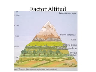 Factor Altitud
 