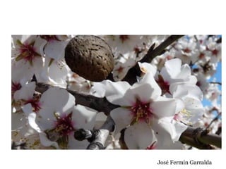 José Fermín Garralda
 