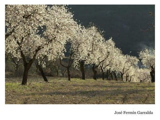 José Fermín Garralda
 