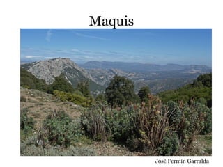 Maquis
José Fermín Garralda
 