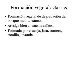 Formación vegetal: Garriga
• Formación vegetal de degradación del
bosque mediterráneo.
• Arraiga bien en suelos calizos.
• Formada por coscoja, jara, romero,
tomillo, lavanda...
 