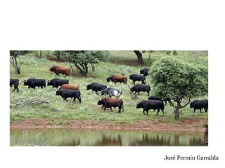 José Fermín Garralda
 