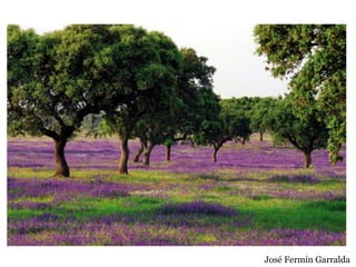 José Fermín Garralda
 