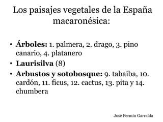 Los paisajes vegetales de la España
macaronésica:
• Árboles: 1. palmera, 2. drago, 3. pino
canario, 4. platanero
• Laurisilva (8)
• Arbustos y sotobosque: 9. tabaiba, 10.
cardón, 11. ficus, 12. cactus, 13. pita y 14.
chumbera
José Fermín Garralda
 