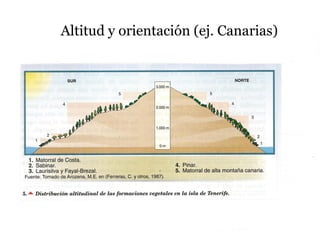 Altitud y orientación (ej. Canarias)
 