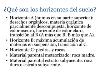 ¿Qué son los horizontes del suelo?
• Horizonte A (humus en su parte superior):
desechos orgánicos, materia orgánica
parcialmente descompuesta, horizonte de
color oscuro, horizonte de color claro,
transición al B (A más que B; B más que A).
• Horizonte B: máxima acumulación de
materias en suspensión, transición al C.
• Horizonte C: piedras y rocas.
• Material parental meteorizado: roca madre.
• Material parental estrato subyacente: roca
dura o estrato subyacente.
 