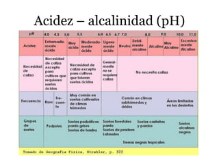 Acidez – alcalinidad (pH)
 
