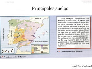 Principales suelos
José Fermín Garrald
 
