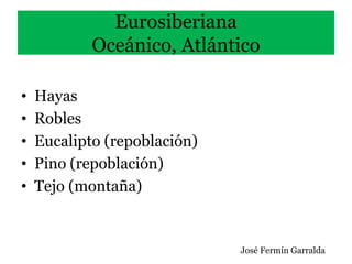 Eurosiberiana
Oceánico, Atlántico
• Hayas
• Robles
• Eucalipto (repoblación)
• Pino (repoblación)
• Tejo (montaña)
José Fermín Garralda
 