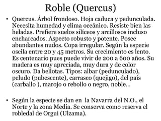 Roble (Quercus)
• Quercus. Árbol frondoso. Hoja caduca y pedunculada.
Necesita humedad y clima oceánico. Resiste bien las
heladas. Prefiere suelos silíceos y arcillosos incluso
encharcados. Aspecto robusto y potente. Posee
abundantes nudos. Copa irregular. Según la especie
oscila entre 20 y 45 metros. Su crecimiento es lento.
Es centenario pues puede vivir de 200 a 600 años. Su
madera es muy apreciada, muy dura y de color
oscuro. Da bellotas. Tipos: albar (pedunculado),
peludo (pubescente), carrasco (quejigo), del país
(carballo ), marojo o rebollo o negro, noble…
• Según la especie se dan en la Navarra del N.O., el
Norte y la zona Media. Se conserva como reserva el
robledal de Orgui (Ulzama).
 