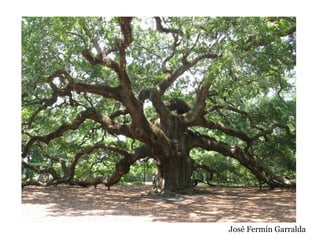 José Fermín Garralda
 
