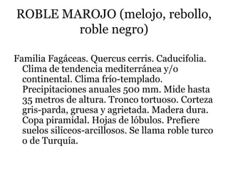 ROBLE MAROJO (melojo, rebollo,
roble negro)
Familia Fagáceas. Quercus cerris. Caducifolia.
Clima de tendencia mediterránea y/o
continental. Clima frío-templado.
Precipitaciones anuales 500 mm. Mide hasta
35 metros de altura. Tronco tortuoso. Corteza
gris-parda, gruesa y agrietada. Madera dura.
Copa piramidal. Hojas de lóbulos. Prefiere
suelos silíceos-arcillosos. Se llama roble turco
o de Turquía.
 