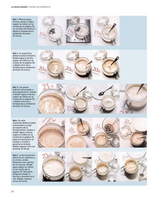 LA MASA MADRE | CREAR UN FERMENTO 
DÍA 1 Mezcla agua, 
harina, pasas y yogur, 
según se indica en la 
receta de la página 25, 
en un bote hermético y 
déjalo a temperatura 
ambiente durante 
24 horas. 
DÍA 2 La superficie 
debería estar brillante. 
Añade agua y harina 
según se indica en la 
receta de la página 25, 
y déjalo otra vez a 
temperatura ambiente 
durante 24 horas. 
DÍA 3 Las pasas 
habrán comenzado a 
descomponerse. Vuelve 
a añadir agua y harina 
según se indica en la 
receta de la página 25, 
y déjalo otra vez a 
temperatura ambiente 
durante 24 horas. 
DÍA 4 En este 
momento debería haber 
comenzado a surgir 
la espuma de la 
fermentación. Vuelve a 
añadir agua y harina 
según se indica en la 
receta de la página 25, 
pasa la mezcla por un 
colador y vuelve a 
ponerla en el bote. 
Déjalo reposar otra vez 
durante 24 horas. 
DÍA 5 La fermentación 
debería ser evidente, y 
el aroma, ácido. 
Desecha tres cuartos 
de la mezcla. Añade 
agua según se indica 
en la receta de la 
página 25. Revuelve. 
Después añade la 
harina y revuelve otra 
vez. Déjalo reposar 
otras 24 horas. 
26 
 