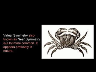 Virtual Symmetry also
known as Near Symmetry
is a lot more common. It
appears profusely in
nature.

 