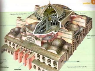 PLANTES I ESTRUCTURA   