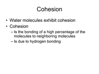 Cohesion Water molecules exhibit cohesion Cohesion Is the bonding of a high percentage of the molecules to neighboring molecules Is due to hydrogen bonding 