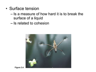 Surface tension Is a measure of how hard it is to break the surface of a liquid Is related to cohesion Figure 3.4 