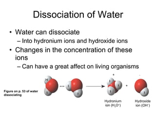 Dissociation of Water Water can dissociate Into hydronium ions and hydroxide ions Changes in the concentration of these ions Can have a great affect on living organisms H Hydronium ion (H 3 O + ) H Hydroxide ion (OH – ) H H H H H H + – + Figure on p. 53 of water  dissociating 