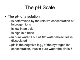 The pH Scale The pH of a solution Is determined by the relative concentration of hydrogen ions Is low in an acid Is high in a base In pure water 1 out of 10 7  water molecules is dissociated pH is the negative log 10  of the hydrogen ion concentration, thus in pure water the pH is 7 
