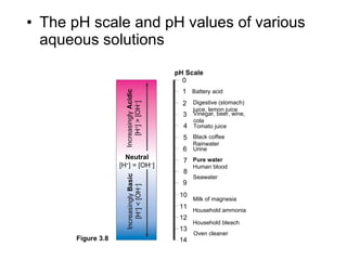 The pH scale and pH values of various aqueous solutions Increasingly  Acidic [H + ] > [OH – ] Increasingly  Basic [H + ] < [OH – ] Neutral [H + ] = [OH – ] Oven cleaner 0 1 2 3 4 5 6 7 8 9 10 11 12 13 14 pH Scale Battery acid Digestive (stomach)  juice, lemon juice Vinegar, beer, wine, cola Tomato juice Black coffee  Rainwater Urine Pure water Human blood Seawater Milk of magnesia Household ammonia Household bleach Figure 3.8 