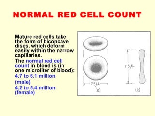 NORMAL RED CELL COUNT Mature red cells take the form of biconcave discs, which deform easily within the narrow capillaries.  The  normal red cell count  in blood is (in o ne microliter of blood): 4.7 to 6.1 million (male) 4.2 to 5.4 million (female)  