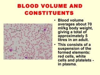 BLOOD VOLUME AND CONSTITUENTS   Blood volume averages about 70 ml/kg body weight, giving a total of approximately 5 litres in an adult. This consists of a suspension of the formed elements: red cells, white cells and platelets - in plasma .  