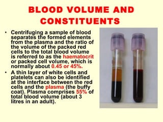 BLOOD VOLUME AND CONSTITUENTS   Centrifuging a sample of blood separates the formed elements from the plasma and the ratio of the volume of the packed red cells to the total blood volume is referred to as the  haematocrit  or packed cell volume, which is normally about  0.45 or 45%. A thin layer of white cells and platelets can also be identified at the interface between the red cells and the  plasma  (the buffy coat). Plasma comprises  55%  of total blood volume (about 3 litres in an adult). 