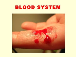 BLOOD SYSTEM 