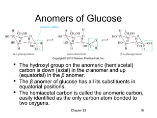 23 - Carbohydrates and Nucleic Acids - Wade 7th | PPT