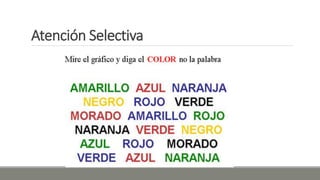 Atención Selectiva
 