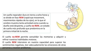 Un sueño reparador dura en torno a ocho horas y
se divide en fase REM (rapid-eye movement,
movimientos rápidos de los ojos), en la que el
cerebro muestra tanta actividad como cuando su
dueño está despierto, y sueño no-REM, un estado
de sueño más profundo que predomina en la
primera mitad de la noche.
El sueño no-REM permite consolidar las memorias y adquirir y
refinar nuestras habilidades motoras.
El sueño REM interviene en nuestra capacidad para superar los
sentimientos negativos, leer adecuadamente las emociones de otras
personas y resolver problemas.
 