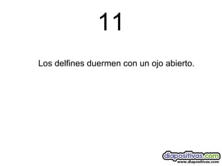11 Los delfines duermen con un ojo abierto. 