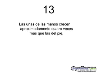 13 Las uñas de las manos crecen aproximadamente cuatro veces más que las del pie. 