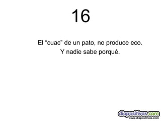 16 El “cuac” de un pato, no produce eco. Y nadie sabe porqué. 