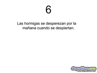 6 Las hormigas se desperezan por la mañana cuando se despiertan. 
