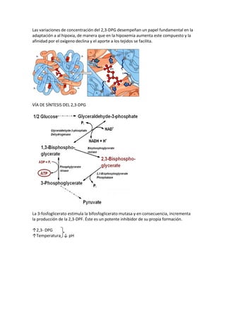 2,3 dpg | PDF