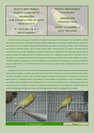 REVISTA ORNITOLÓGICA                                           REVISTA ORNITOLÓGICA
          “FLOREOS Y COMPUESTAS”                                                  “O PAPORUBIO”
                    INFORMACIÓN
                                                                                  INFORMACIÓN
    CLUB CANARICULTORES DE CANTO
                                                                               FRANCISCO TIZÓN
                   “CESARAUGUSTA”
                                                                         CAMIÑO DO LARANXO, 33
           AV. CATALUÑA 110 2º-C
                                                                               36216-TEIS (VIGO)
                   50014-ZARAGOZA


   Uno de los errores en los que se ha incurrido en el pasado ha sido la selección de la hembra. Si de una nidada se obtienen

dos machos y una hembra y resulta que los machos son más o menos mediocres, entonces la hembra debe ser la opción nú-

mero uno para criar en la próxima temporada. Esta hembra hay que echarla con un macho que tenga un buen Hohlrrol pero

un Knorren y un Schockel mediocre, pero el criador tiene que saber, y tener en cuenta, que el padre de la hembra tiene un

excelente Knorren y Schockel, mientras que su Hohlroll es muy flojo. La combinación es buena para que salga un macho de

excelente calidad. Este pájaro perfecto es el resultado final de la cría y solamente es bueno para los concursos. Criar con

este pájaro no es conveniente y sólo nos dará decepciones, ya que él pasará una parte de su calidad externa y no toda ella.

También la hermana y hermanos de un canario excepcional no son adecuados para la reproducción a no ser que no muestren

una gran calidad externa. La práctica ha demostrado que los pájaros con calidad interna han producido la mejor cosecha de

calidad externa.

   A propósito de lo dicho he aquí un caso real. El acoplamiento de un macho de poca categoría con una hembra superior dio

como resultado 3 machos y 4 hembras. Dos de los machos tuvieron 65 y 70 puntos, el otro sólo tuvo 55. Una de las hembras

se cruzó con un macho de primera clase, sólo salieron pájaros de segunda clase. El canario de 70 puntos se cruzó con una

hembra mediocre y únicamente salieron hijos mediocres. El macho mediocre de 55 puntos se cruzó con una hembra medio-

cre y salieron machos excelentes. Se ha comprobado que esto es verdad en numerosos casos. Si usted produce canarios de

clase media a partir de pájaros de primera clase guarde las hembras porque son las portadoras de la calidad interna, que

pasará a sus descendientes masculinos. Guarde bastantes pájaros para reducir la consanguinidad a un mínimo.




                              EL CANARIO ROLLER                                                      Página 7
 