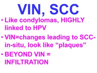 VIN, SCC 
• Like condylomas, HIGHLY 
linked to HPV 
• VIN=changes leading to SCC-in- 
situ, look like “plaques” 
• BEYOND VIN = 
INFILTRATION 
 