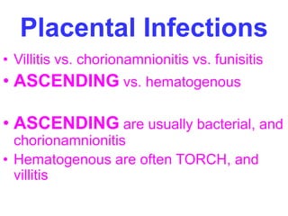 Placental Infections 
• Villitis vs. chorionamnionitis vs. funisitis 
• ASCENDING vs. hematogenous 
• ASCENDING are usually bacterial, and 
chorionamnionitis 
• Hematogenous are often TORCH, and 
villitis 
 
