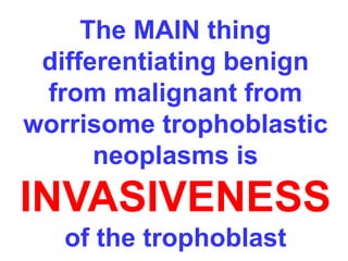 The MAIN thing 
differentiating benign 
from malignant from 
worrisome trophoblastic 
neoplasms is 
INVASIVENESS 
of the trophoblast 
 