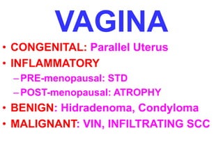 VAGINA 
• CONGENITAL: Parallel Uterus 
• INFLAMMATORY 
–PRE-menopausal: STD 
–POST-menopausal: ATROPHY 
• BENIGN: Hidradenoma, Condyloma 
• MALIGNANT: VIN, INFILTRATING SCC 
 