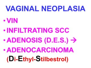 VAGINAL NEOPLASIA 
• VIN 
• INFILTRATING SCC 
• ADENOSIS (D.E.S.)  
•ADENOCARCINOMA 
(Di-Ethyl-Stilbestrol) 
 