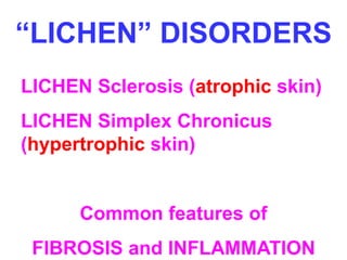 “LICHEN” DISORDERS 
LICHEN Sclerosis (atrophic skin) 
LICHEN Simplex Chronicus 
(hypertrophic skin) 
Common features of 
FIBROSIS and INFLAMMATION 
 