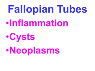 Fallopian Tubes 
•Inflammation 
•Cysts 
•Neoplasms 
 