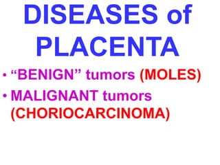 DISEASES of 
PLACENTA 
• “BENIGN” tumors (MOLES) 
• MALIGNANT tumors 
(CHORIOCARCINOMA) 
 