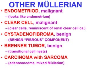 OTHER MÜLLERIAN 
• ENDOMETRIOD, malignant 
– (looks like endometrium) 
• CLEAR CELL, malignant 
– (clear cells, reminiscent of renal clear cell ca.) 
• CYSTADENOFIBROMA, benign 
– (BENIGN “FIBROUS” COMPONENT) 
• BRENNER TUMOR, benign 
– (transitional cell nests) 
• CARCINOMA with SARCOMA 
– (adenosarcoma, mixed Müllerian) 
 